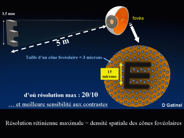 resolution rétiniene maximale