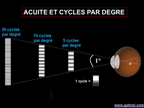 acuité visuelle et cycles par degré