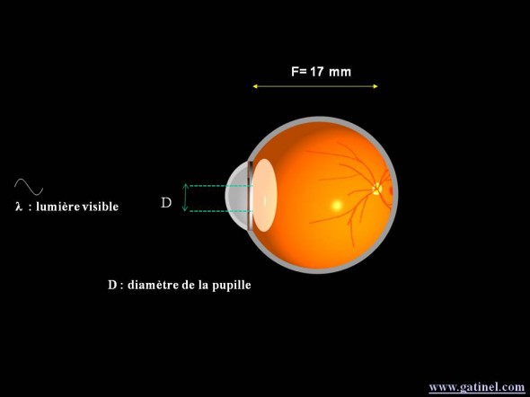 acuité oeil simple focale pupille