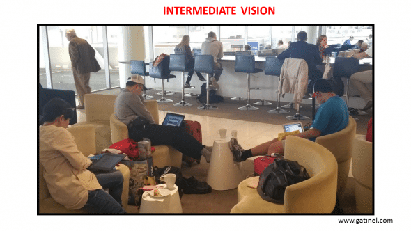 Intermediate vision