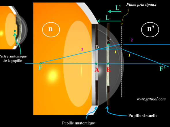 schéma permettant le calcul de la taille de la pupille apparente d'entrée de l'iris