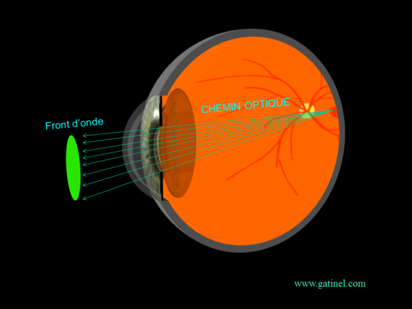 chemin optique de la lumière dans l'oeil