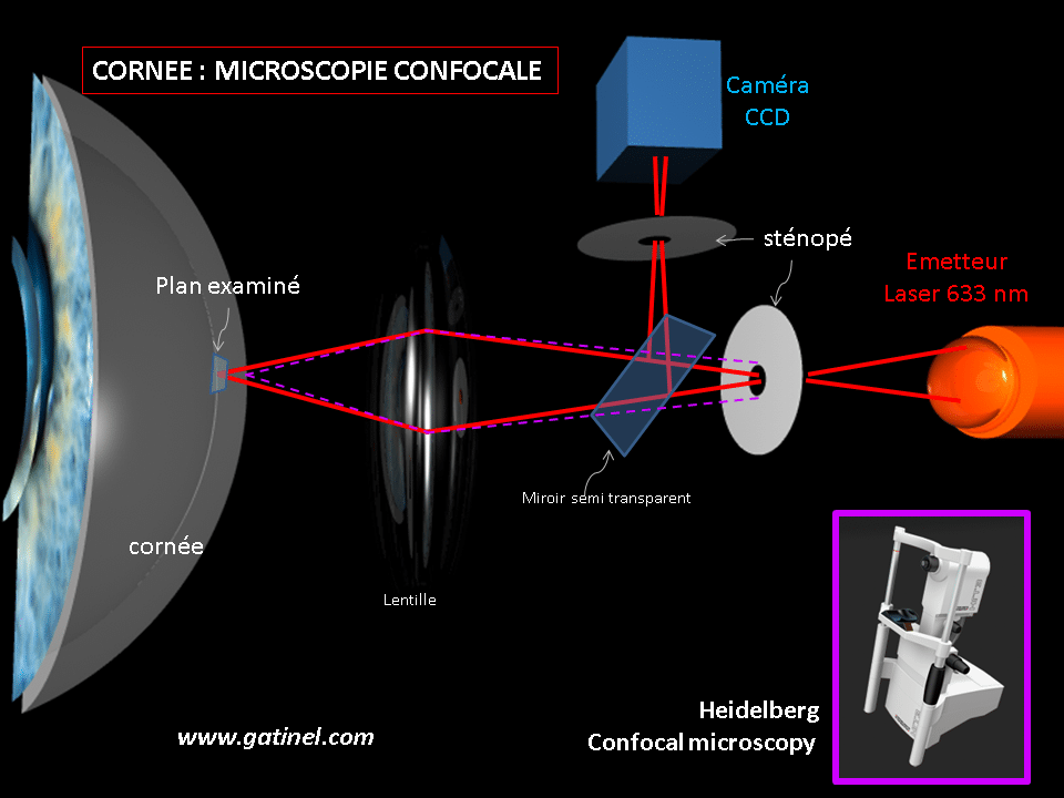 🔎 Microscope optique - Définition et Explications