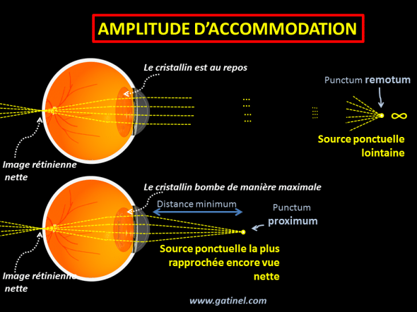 amplitude d'accommodation (schéma)