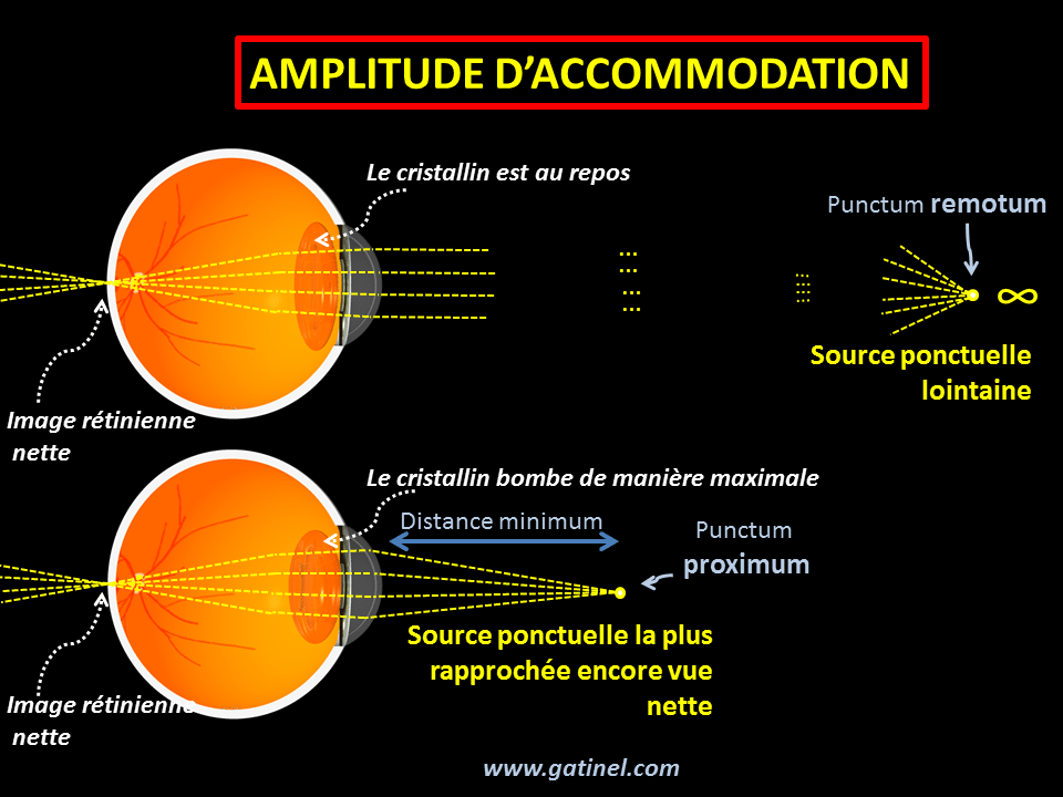 Il teste un simulateur de regles puis un simulateur de contraction