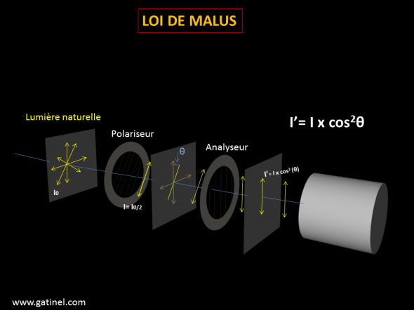 Loi de Malus