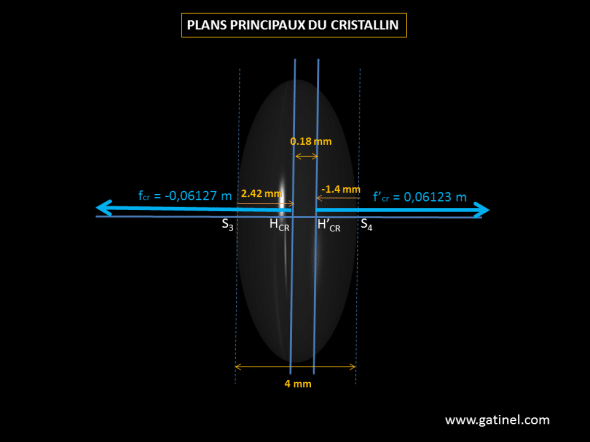 Représentation de la position des plans principaux du cristallin 