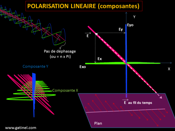 composantes de polarisation
