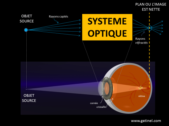 oeil rayons et système optique