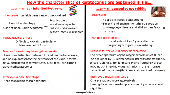 Explaining the characteristics of keratoconus by eye rubbing