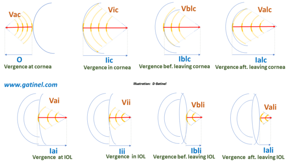 vergence propagation in the eye